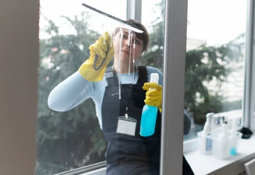 Nettoyage de vitres intérieures et extérieures à Villeneuve-d'Allier